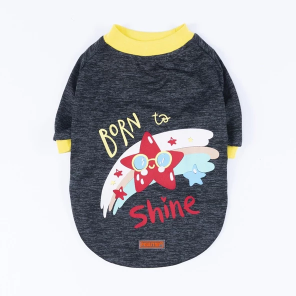 PawStar Siyah Shine Küçük Irk Sweat - Resim 4