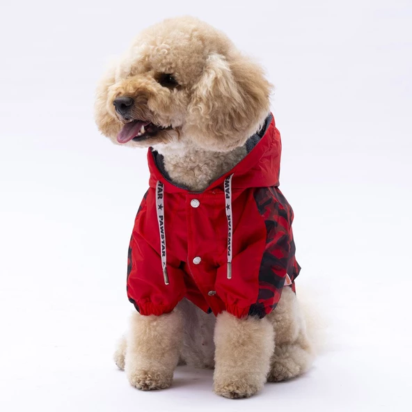 PawStar Kırmızı Dijon Yağmurluk Küçük ve Orta Irk - 3
