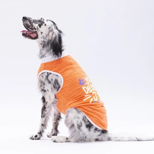 PawStar Turuncu Joy Büyük Irk T-Shirt - 2