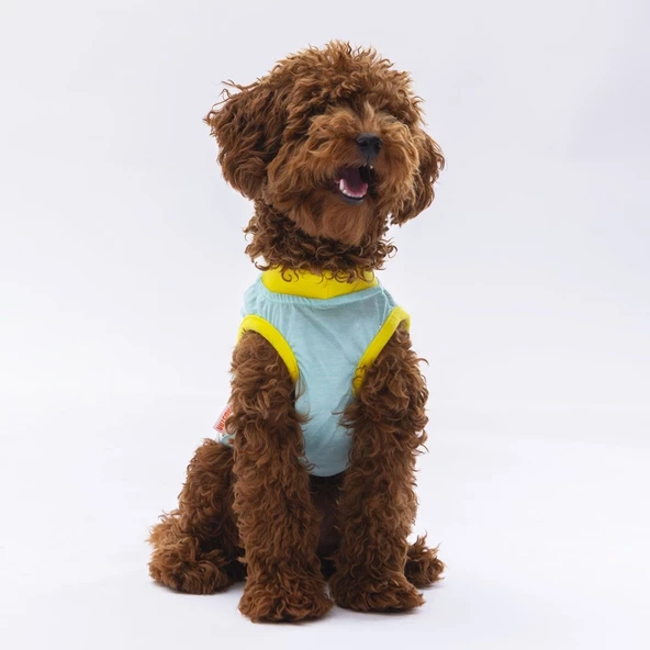 PawStar Mint Sunrise T-Shirt - 2