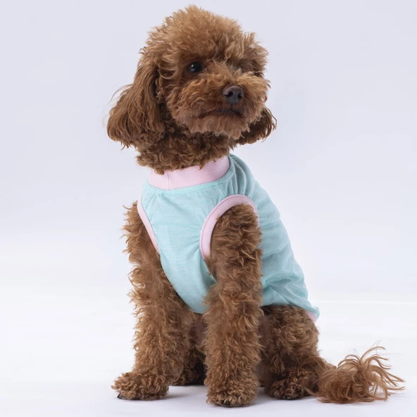 PawStar Mint Joy T-Shirt - 2