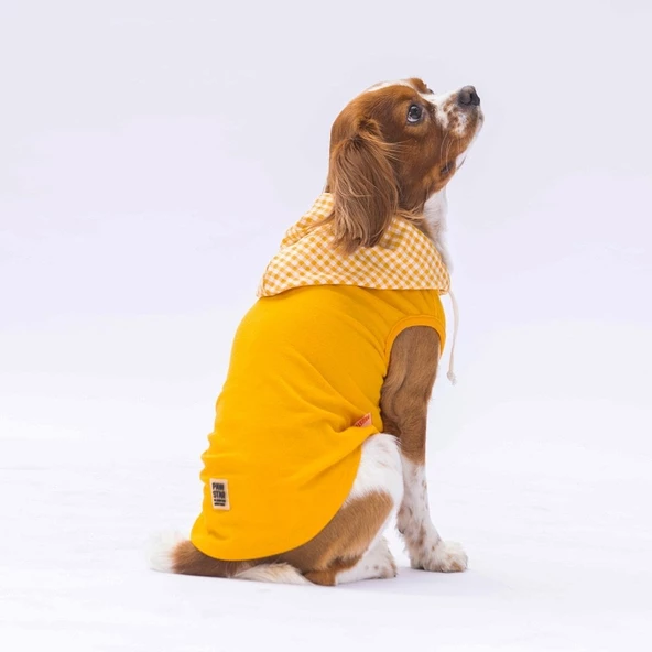 PawStar Sarı Gingham Kapşonlu Polo T-Shirt