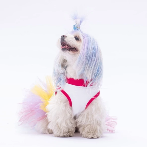 PawStar Happy Birthday Elbise - Resim 4