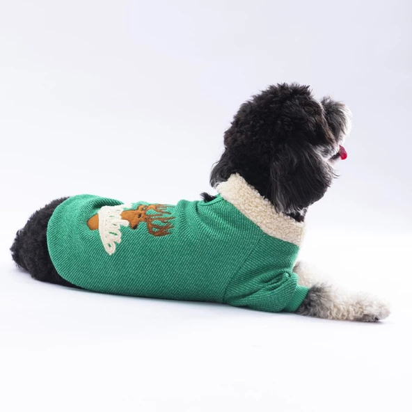 PawStar Yeşil Alaska Sweat Küçük ve Orta Irk - Resim 3