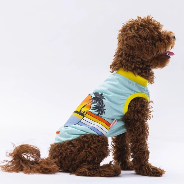 PawStar Mint Sunrise T-Shirt - 3