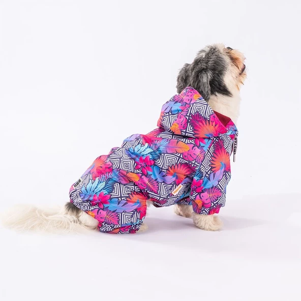 PawStar Palmatum Tulum Yağmurluk Küçük ve Orta Irk