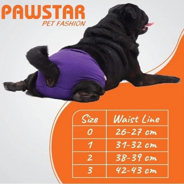 PawStar Düz Renkler 1 Çamaşır (Paket de Farklı  Renkte 3 Adet Bulunur) - Resim 5