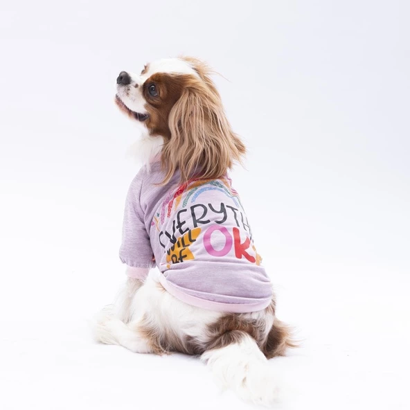 PawStar Lila Everything Will Be Okay Küçük Irk Sweat
