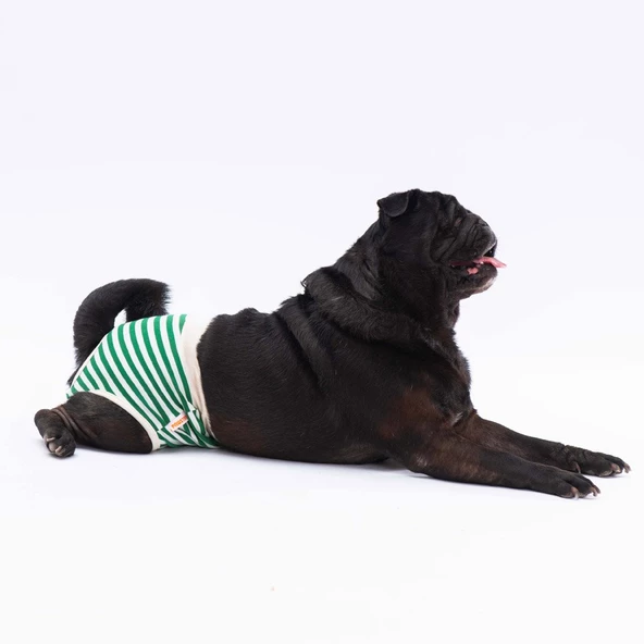 PawStar Çizgili Çamaşır (Paket de Farklı  Renkte 3 Adet Bulunur) - 4