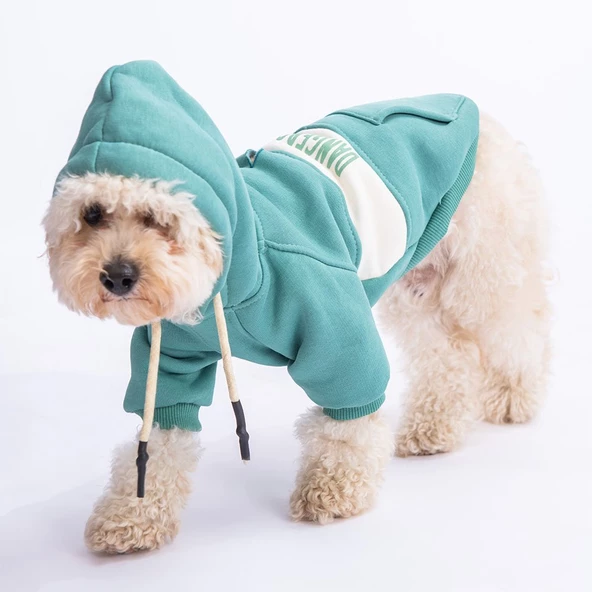 PawStar Yeşil Cute Hoodie Küçük ve Orta Irk - Resim 3