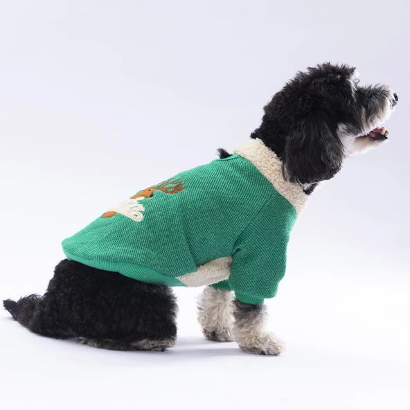 PawStar Yeşil Alaska Sweat Küçük ve Orta Irk - Resim 4