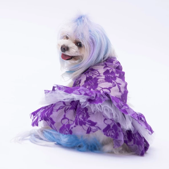 PawStar Mor Rosa Elbise - 3