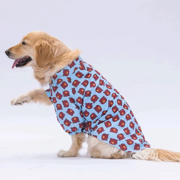 PawStar Bear Desenli Büyük Irk Gömlek - 3