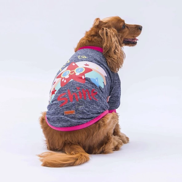 PawStar Antrasit Shine Küçük Irk Sweat