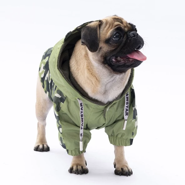 PawStar Yeşil Dijon Yağmurluk Küçük ve Orta Irk - Resim 3