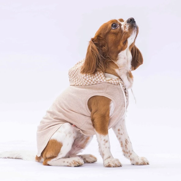 PawStar Bej Gingham Kapşonlu Polo T-Shirt