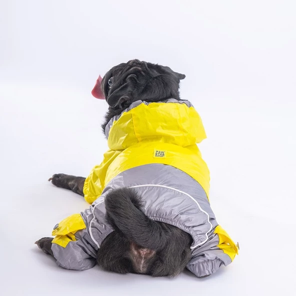 PawStar Sarı Gri Bicolor Tulum Yağmurluk Küçük ve Orta Irk - 2