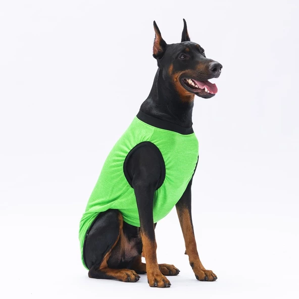 PawStar Yeşil Travel Büyük Irk T-Shirt - 2