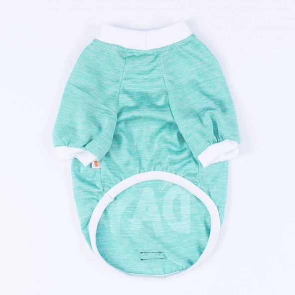 PawStar Mint Fun Day Küçük Irk Sweat - 5