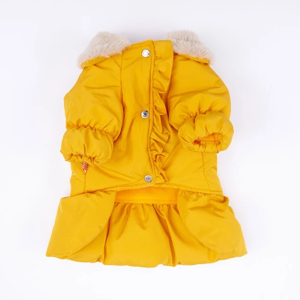 PawStar  Sarı Elizabeth Yağmurluk Küçük ve Orta Irk - Resim 5