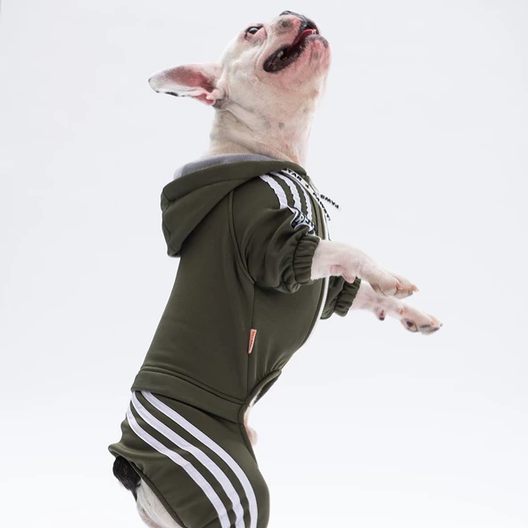 PawStar Haki Tuta Tulum Küçük ve Orta Irk - 2