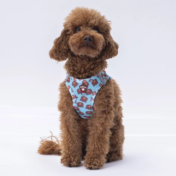 PawStar  Airmesh Bears Göğüs Tasması - 2