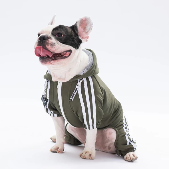 PawStar Haki Tuta Tulum Küçük ve Orta Irk - 3