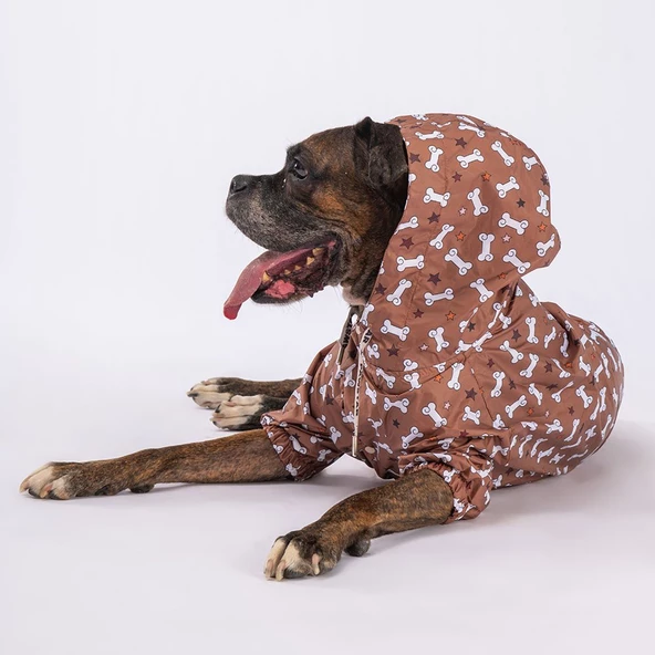 PawStar StellaOs Büyük Irk Tulum Yağmurluk - 3