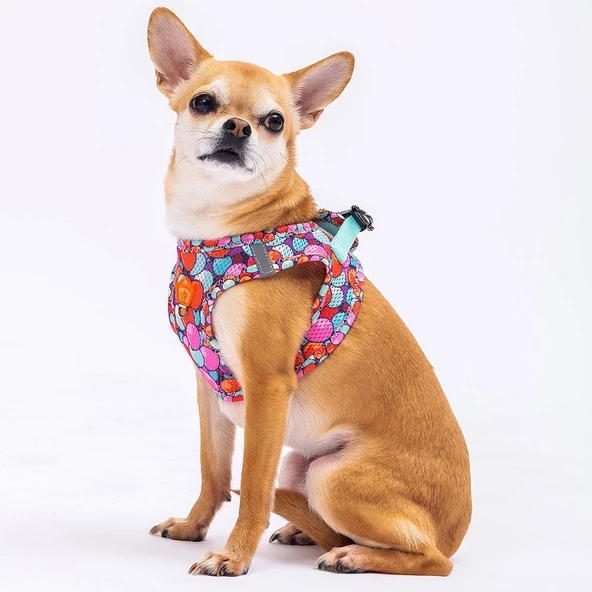 PawStar  Airmesh Balloons Göğüs Tasması - Resim 4