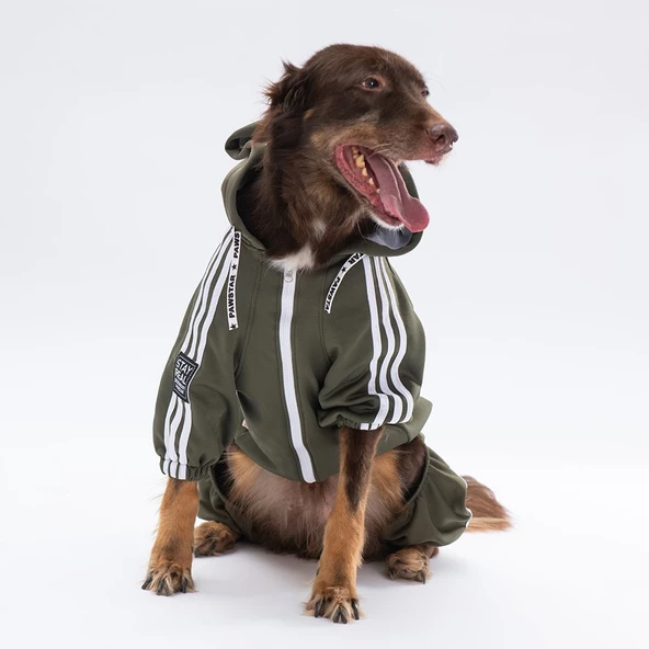 PawStar Haki Tuta Büyük Irk Tulum - 3