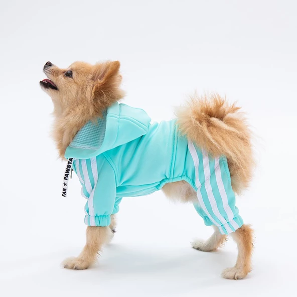 PawStar Aqua Tuta Tulum Küçük ve Orta Irk - 2