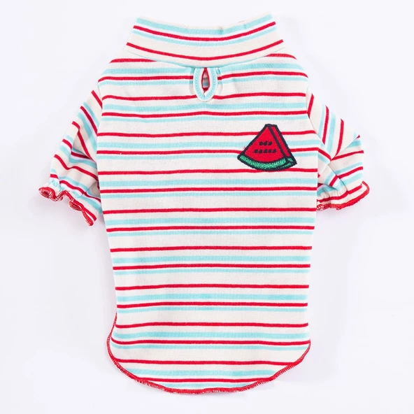 PawStar Cocomero Küçük ve Orta Irk Sweat - 3