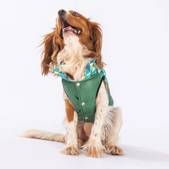 PawStar Yeşil Diametro Puf Yelek Küçük ve Orta Irk - 2