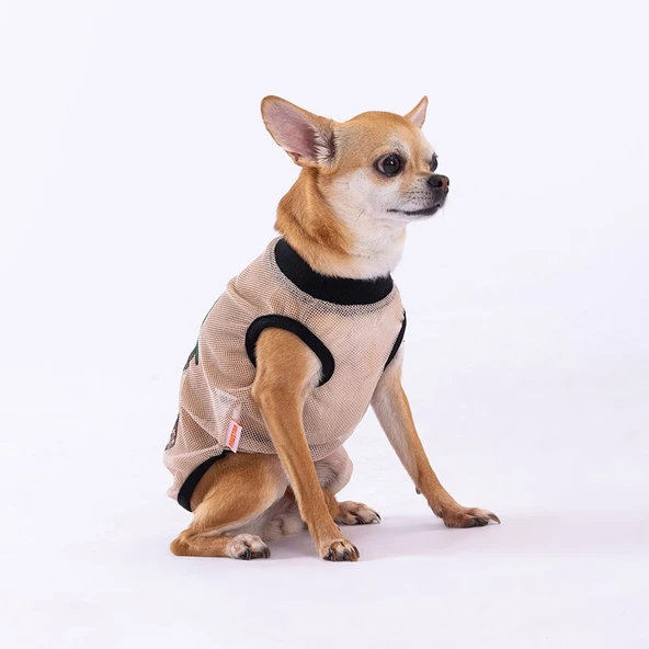 PawStar Bear Mesh T-Shirt - Resim 2