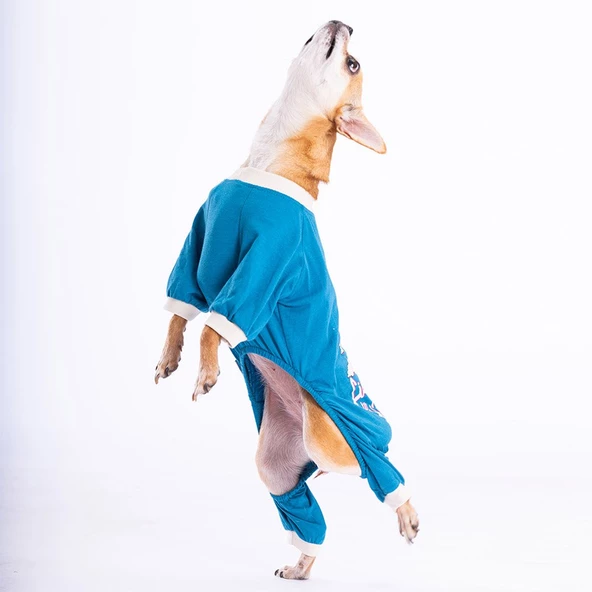 PawStar Mavi Giraffe Penye Tulum - 2