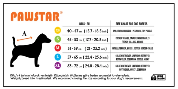 PawStar Mint Colombia Yağmurluk - 3