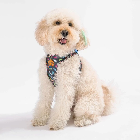 PawStar  Airmesh Dino Göğüs Tasması - 2