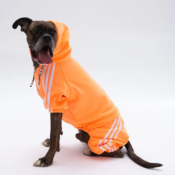 PawStar Turuncu Tuta Büyük Irk Tulum - 2