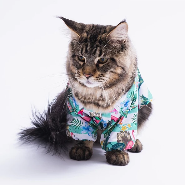 PawStar Hawai Gömlek