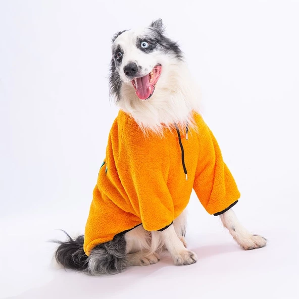 PawStar Sarı Just Be Cool Büyük Irk Sweat - 3