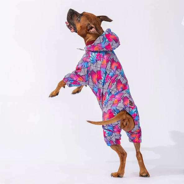 PawStar Palmatum Büyük Irk Yağmurluk - Resim 2