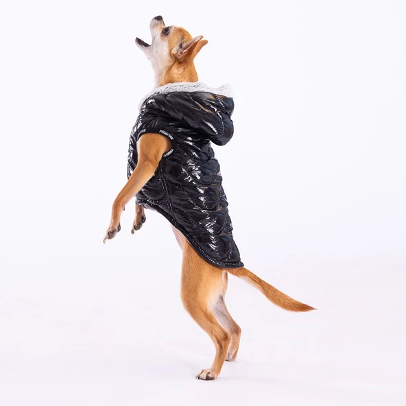PawStar Siyah Light Wave Yelek Küçük ve Orta Irk - 2
