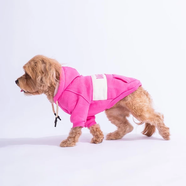 PawStar Pembe Cute Hoodie Küçük ve Orta Irk - 2