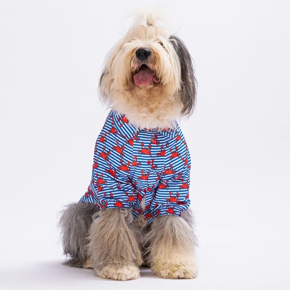 PawStar Crabs Büyük Irk Gömlek