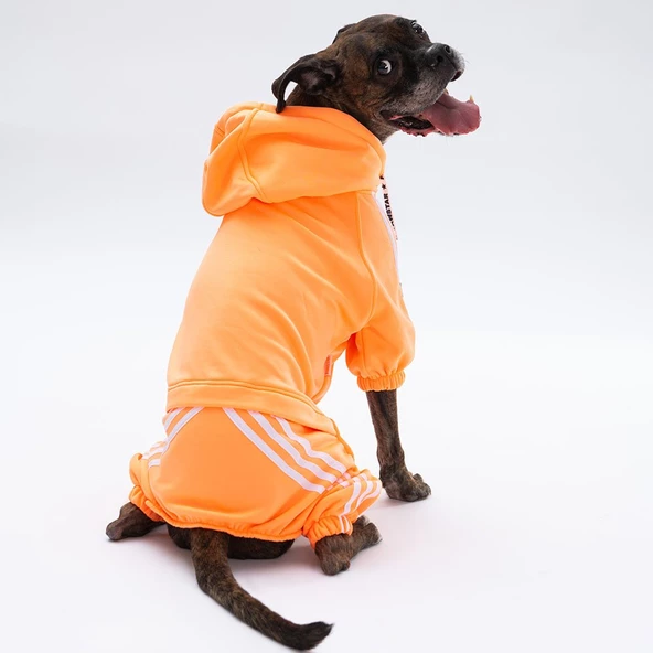 PawStar Turuncu Tuta Büyük Irk Tulum - 3