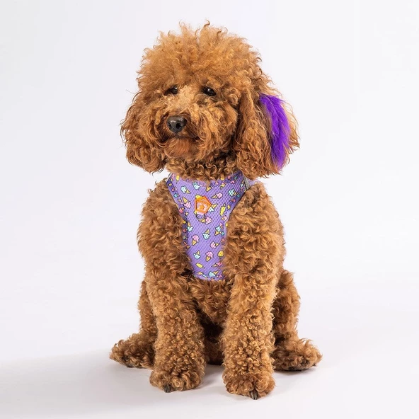 PawStar  Airmesh Ice Cream Göğüs Tasması - 2