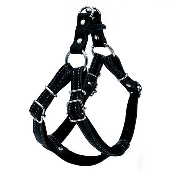Doggie Konfor Deri Ronin Köpek Göğüs Tasması Medium Siyah 2x45 55 Cm - 2