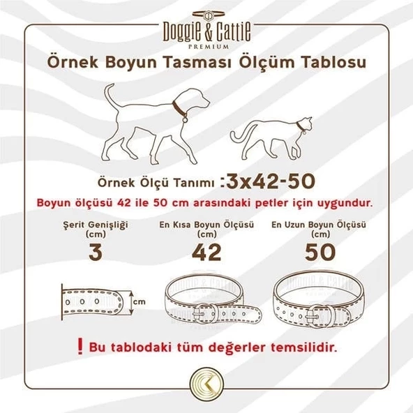 Cattie Gerçek Deriden Taşlı Kedi Boyun Tasması Xlarge Kırmızı 1.5x26-31 Cm - 4