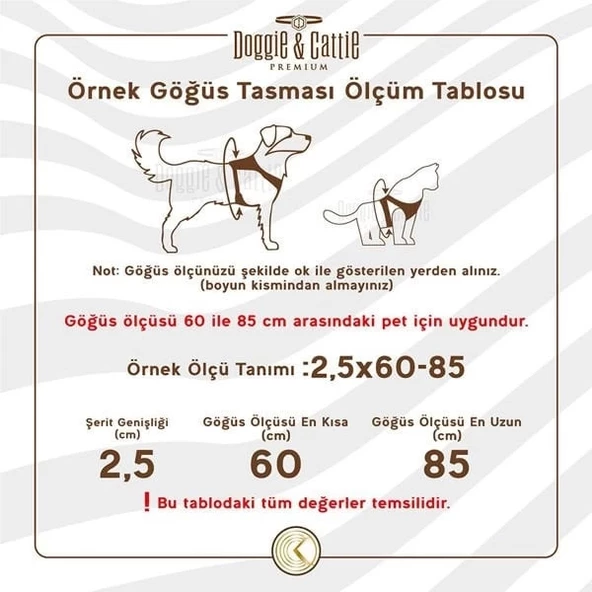 Cattie Kedi Göğüs ve Gezdirme Tasma Takımı Haki 1x25-40 Cm - 4