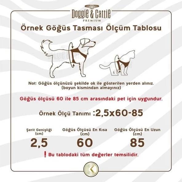 Cattie Havalı Dokuma Kedi Göğüs ve Gezdirme Takımı Large Bej 1.5x30-40 Cm - 3